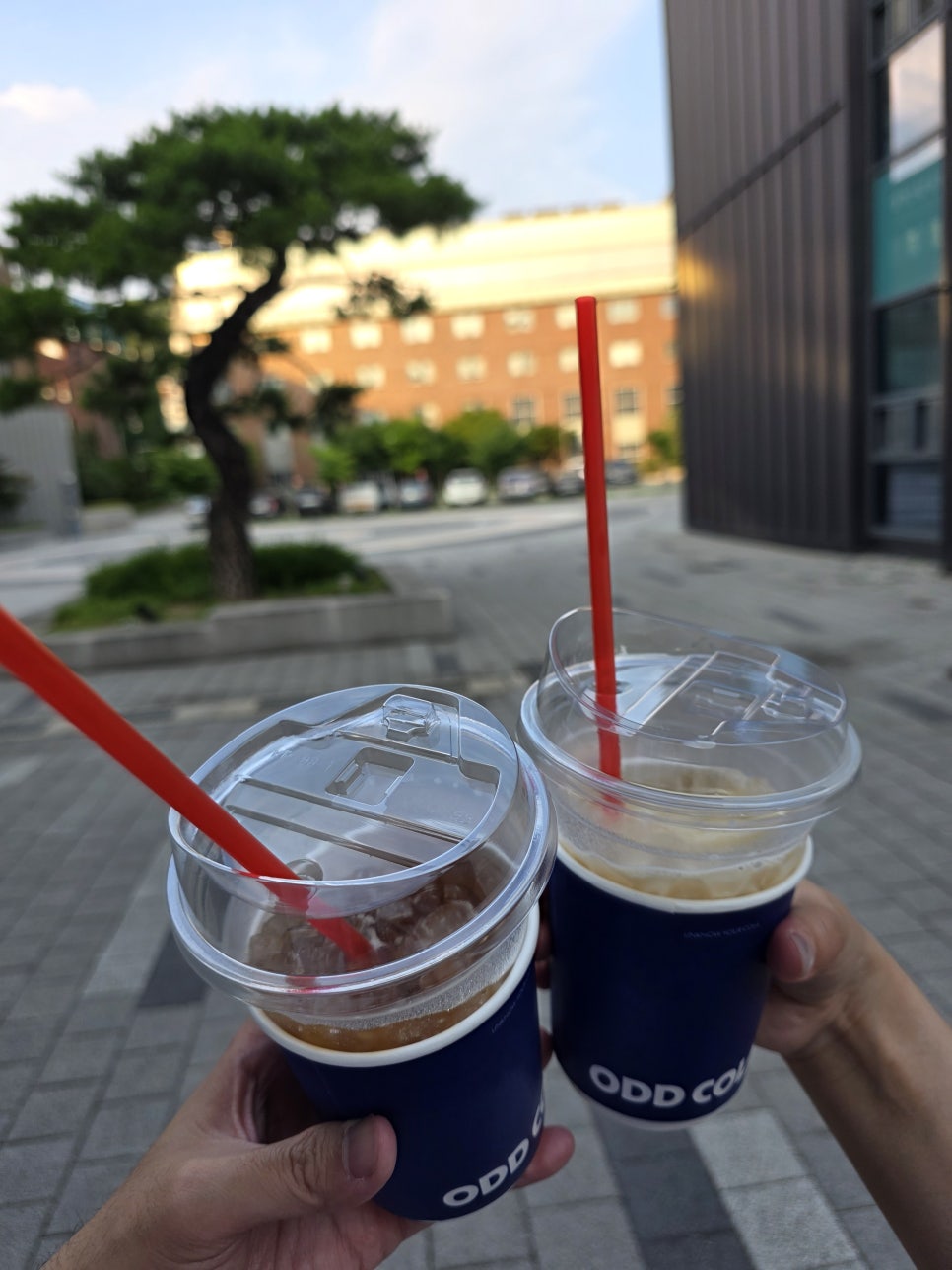 오드콜라 13