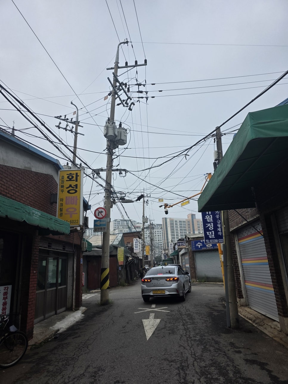 사카바 토리냥