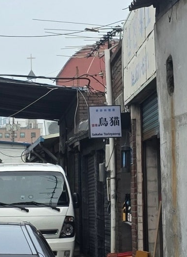 토리냥 3